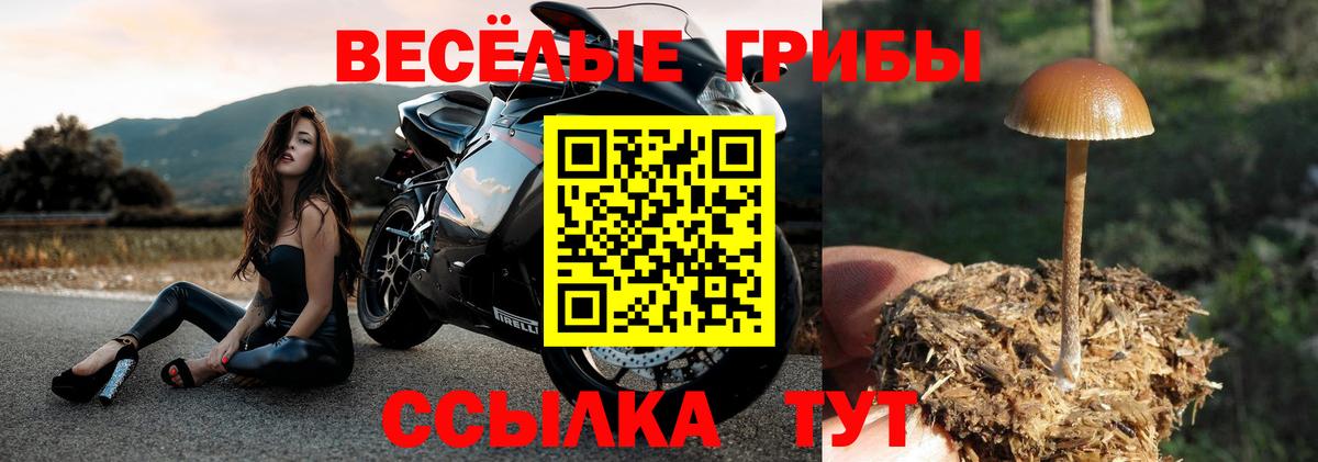 Псилоцибиновые грибы Psilocybine cubensis  Вход с VPN  Таганрог 